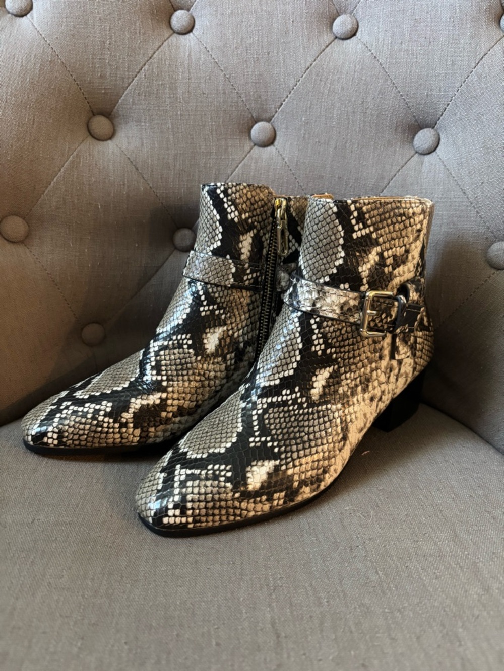 Talbots Dakota Buckle Ankle Boots in Python Embossed Leather